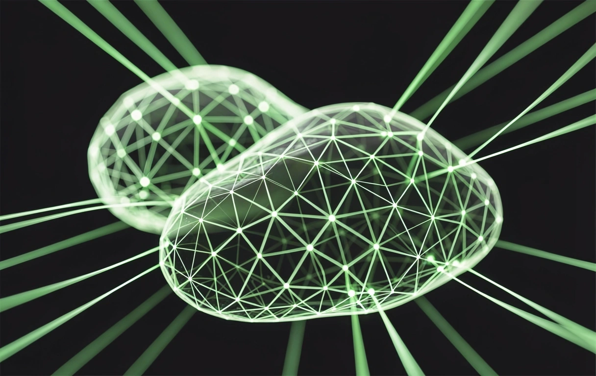 Visualización de red de datos